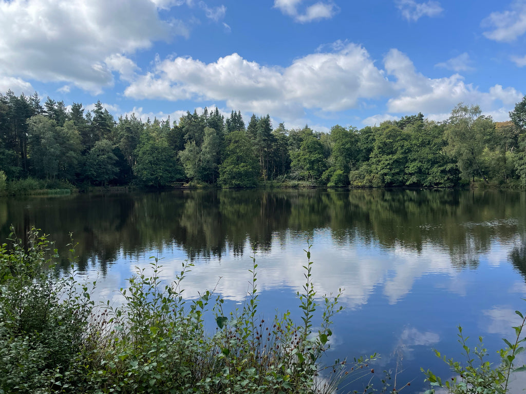 Enchanted Circle Lake