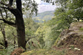 "Woodland View"  Premium Acrylic Print 15x10 cm
