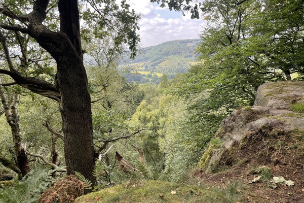 "Woodland View"  Premium Acrylic Print 15x10 cm