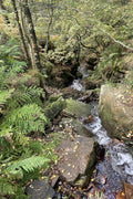 "Bubbling Brook"  Premium Acrylic Print 15x10 cm