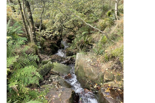 "Bubbling Brook"  Premium Acrylic Print 15x10 cm